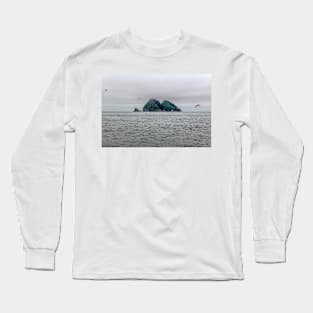 Gulls on Bay Long Sleeve T-Shirt